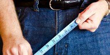 Size of the male genital organ