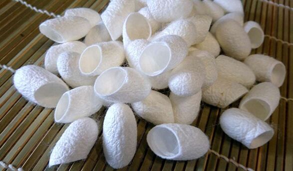 Chinese silkworm threads promote penis growth
