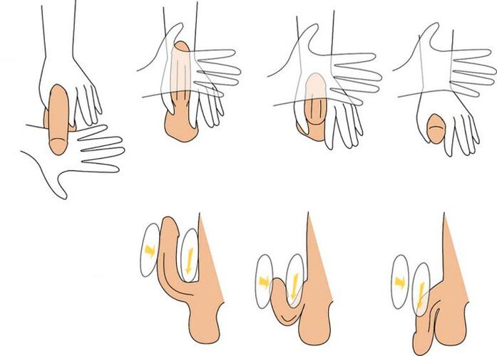 flex the penis to enlarge it