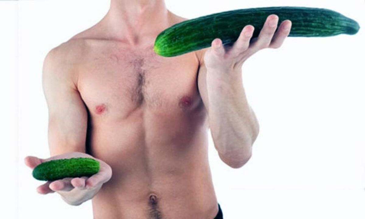 big and small dick size on the example of cucumbers